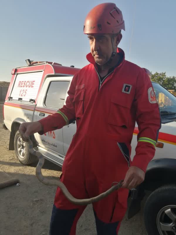 اخبار طرقبه