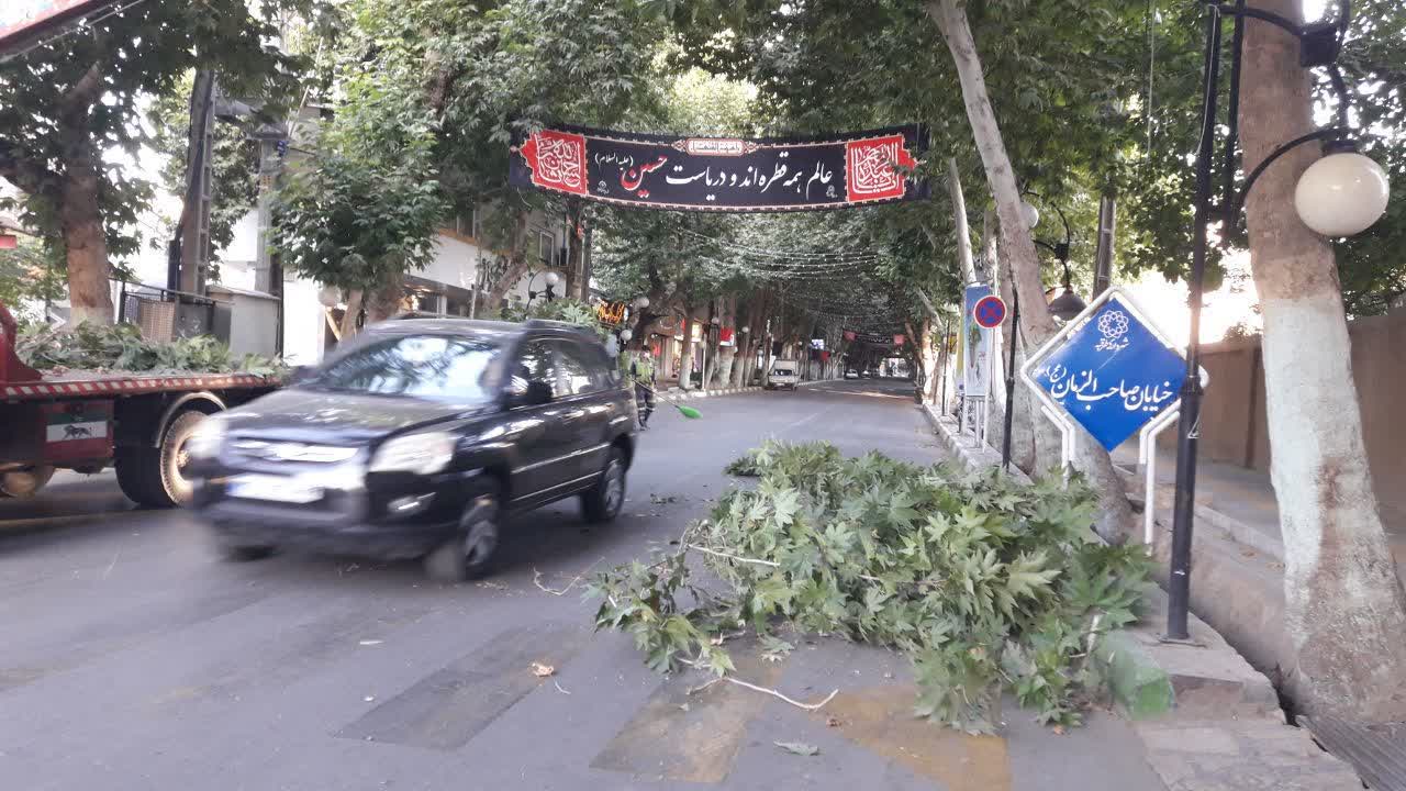 اخبار طرقبه