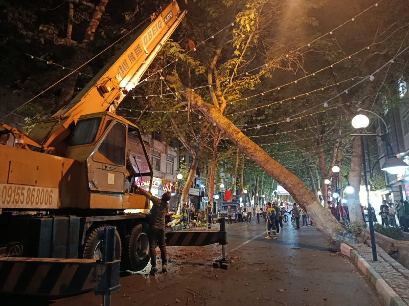 عملیات ایمن‌سازی و قطع درخت کهنسال در خیابان صاحب‌الزمان طرقبه