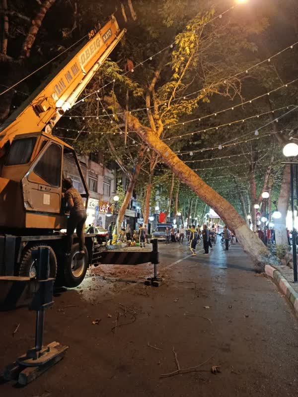 اخبار طرقبه