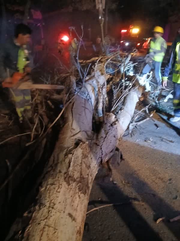 اخبار طرقبه