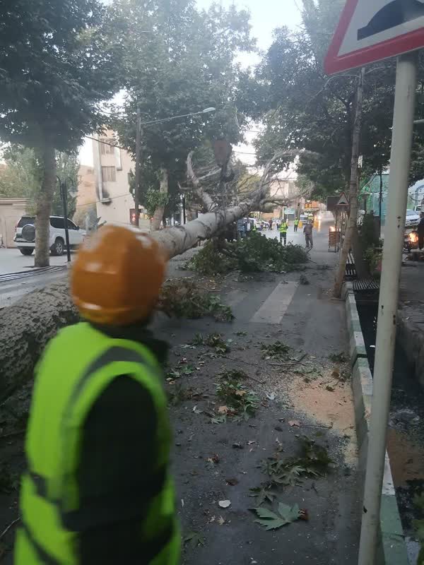 اخبار طرقبه