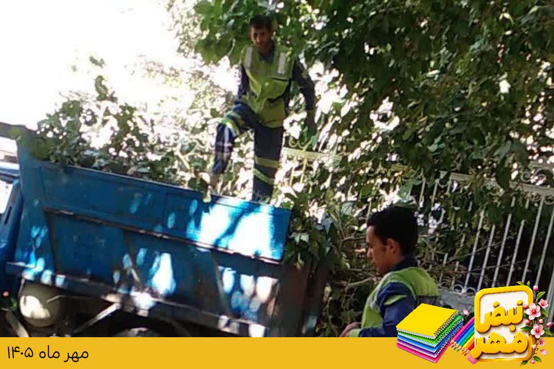 اخبار طرقبه