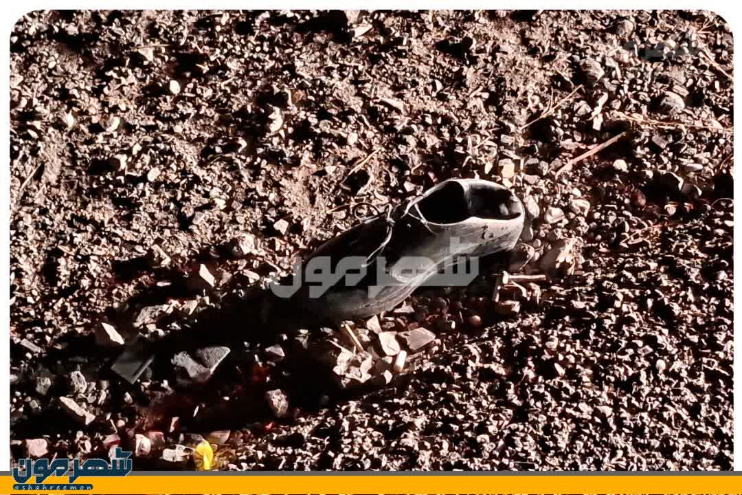 اخبار طرقبه