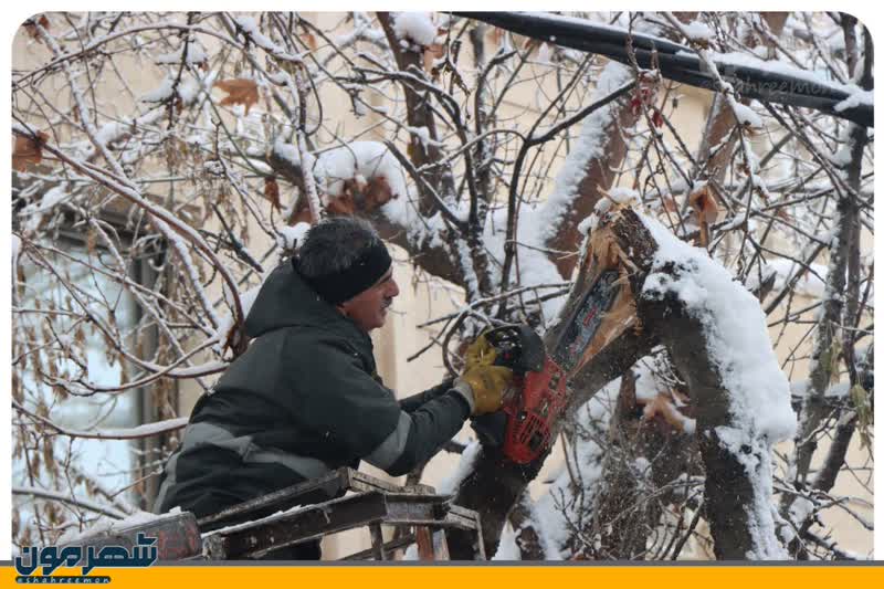 اخبار طرقبه