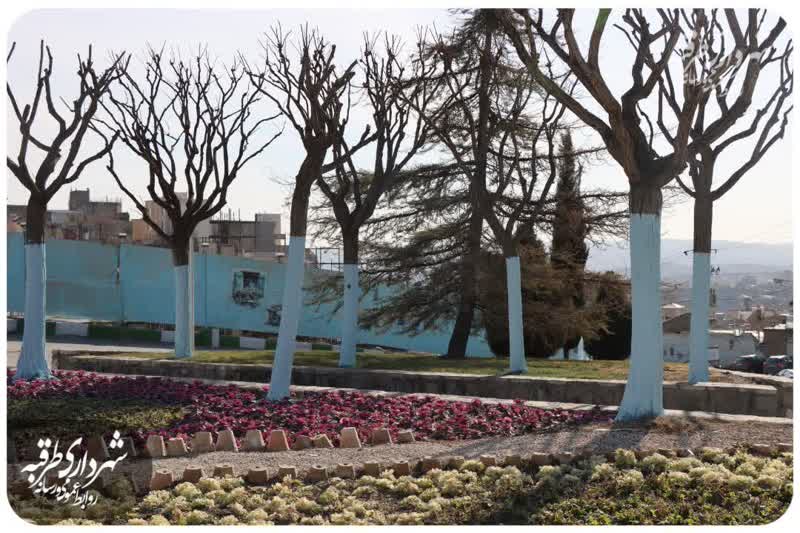 اخبار طرقبه