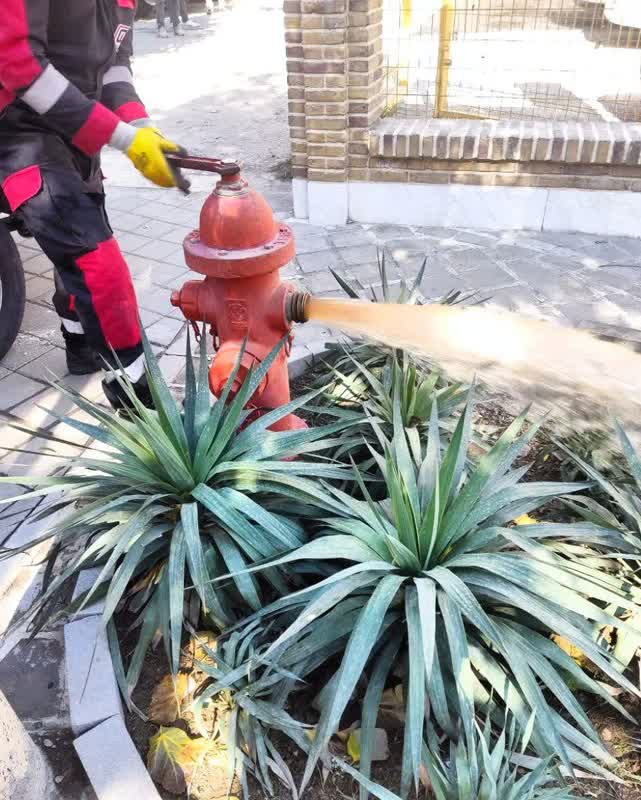 اخبار طرقبه