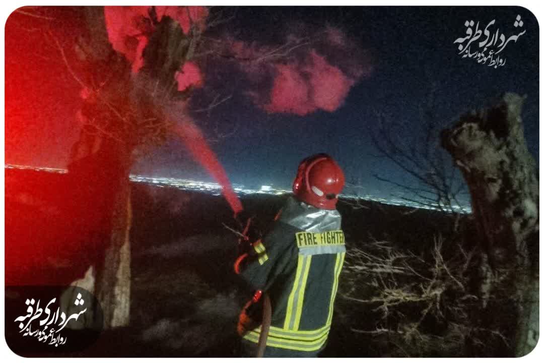 🔸​مهار آتش‌سوزی درخت در کمترین زمان؛ حفاظت از ریه‌ های تنفسی طرقبه خط قرمز ماست.