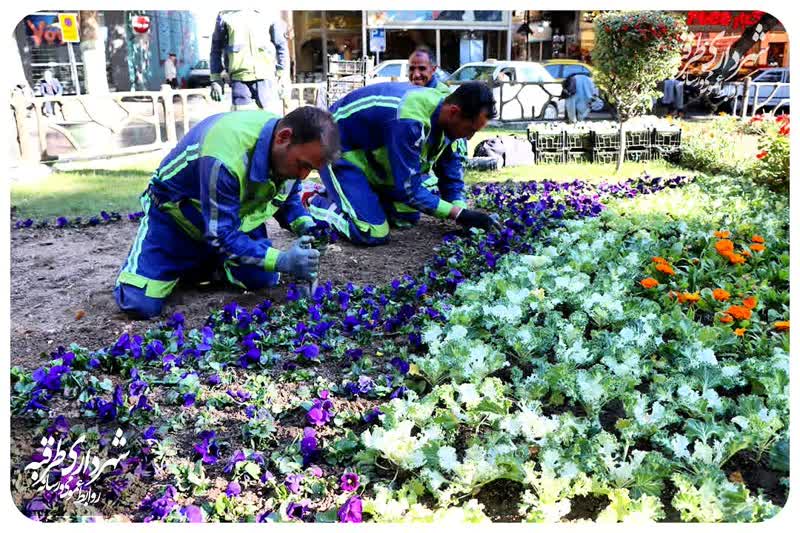 اخبار طرقبه